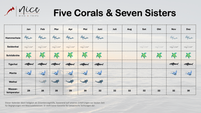 Five Corals and Seven Sisters Saudi Arabien