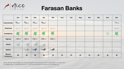 Farasan Banks Saudi Arabien