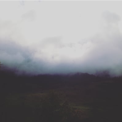 Eine neblige Landschaft, Aufnahme aus einem niedrigen Winkel, bewölkter und bewölkter Himmel, in der Ferne ein Wald, dunkel und düster, verschwommen und körnig