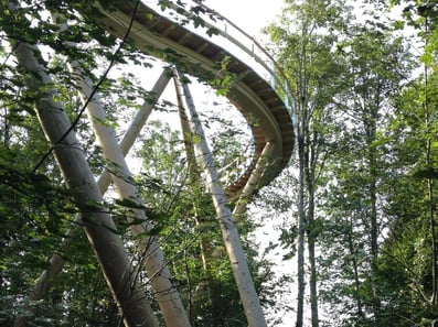 Baumwipfelpfad Mogelsberg