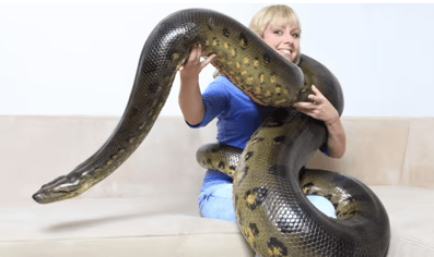 ECKXEL Job offer Python Engineer with Anaconda Enterprise - EU Institution Luxembourg