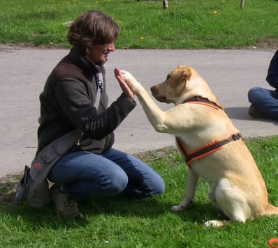 Foto: Esther Hufschmid / cumcane familiari