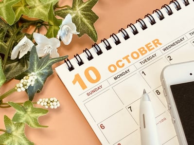 10月の無料相談会は26日に開催します