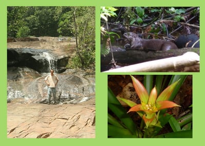 Sortie découverte de la nature aux Chutes Voltaire