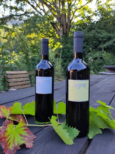 Foto: © Daniel Gisler, Krinau. Alle Rechte vorbehalten!