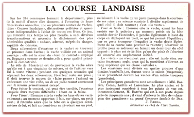 orthe, landes, aquitaine, peyrehorade, course landaise, ganaderia, sauteur, cordier, talanquère, vache