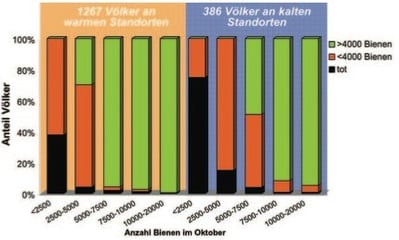 Statistik Überwinterungserfolg / Volksstärke