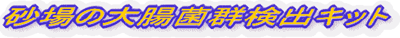 砂場の大腸菌郡検出キット画像