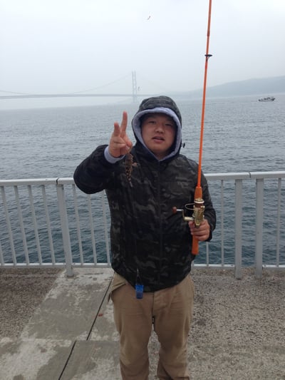 甥っ子のひょう君!