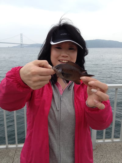 マキの双子の妹ミキちゃん!!