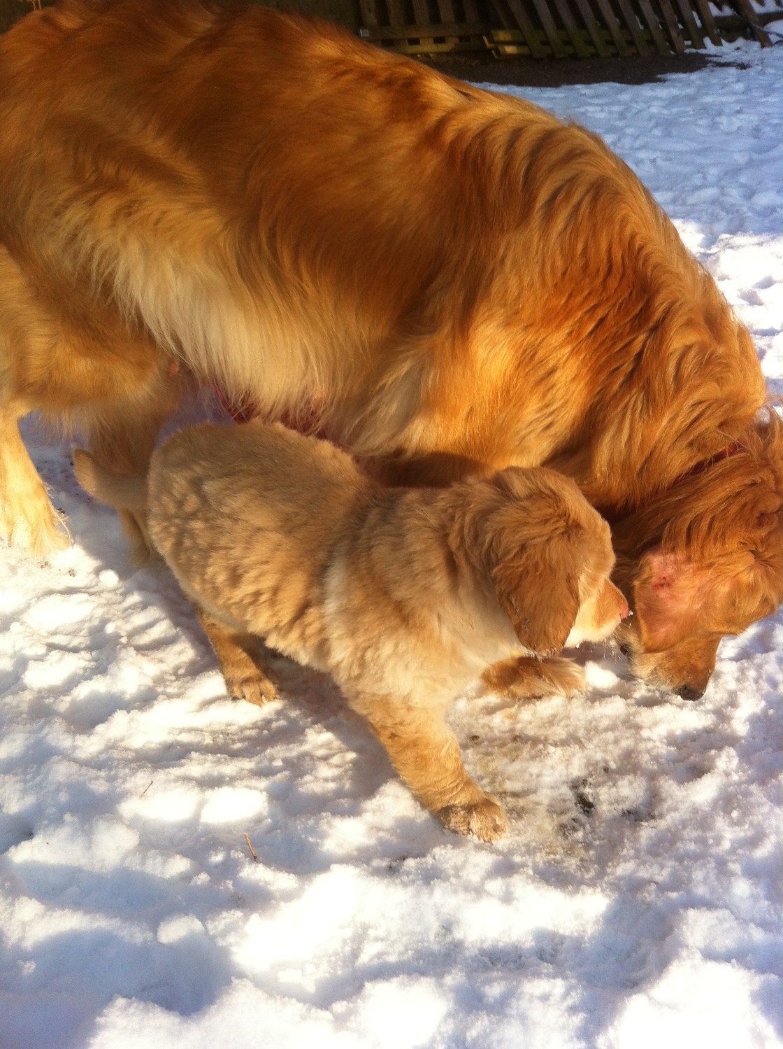 Booker und Thaler 15.03.