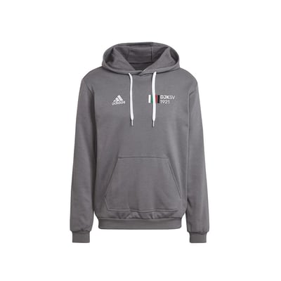 DJKSV1921 - Fanwear Hoodie grau