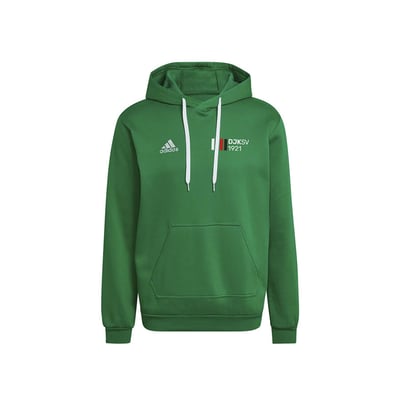DJKSV1921 - FanWear Hoodie grün