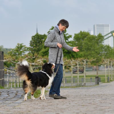 Frau mit Australian Shepherd 