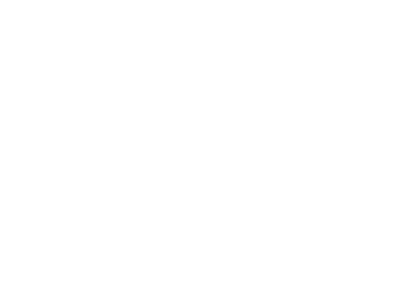 Frei bei Fuß - Hundeschule & mehr