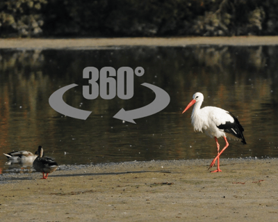 Visite virtuelle : cliquez ici