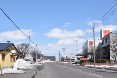 旭川冬まつり　ゾーブボール