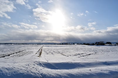 モトクラシーギフト