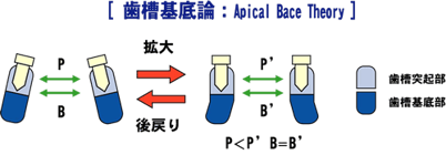 床矯正後戻り理論