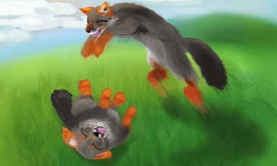 ダーヴィンギツネ/ Darwin's Fox