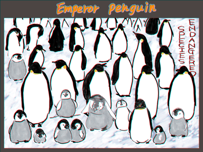 「コウテイペンギン」主に南極大陸に生息している、世界一大きなペンギン。 生息数は比較的安定しているが、温暖化の影響により、生息地である棚氷の減少が懸念されている。 メスはエサを求めて海に向かい、オスは約2か月間、絶食状態のままマイナス60℃にも及ぶ極寒の中、冬眠に近い状態で体を寄せ合いひたすら卵を温め続ける。