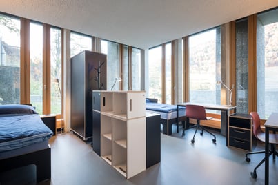 Schrank und Regal als Raumtrenner, Bett und Schreibtisch