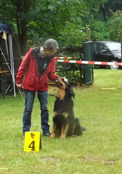 Baki schafft bei seinem ersten Schaulauf unter 24 erwachsenen Rüden einen vorzüglichen 4. Platz. Großartig!!!