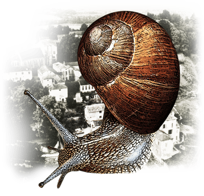 orthe, hastingues, peyrehorade, landes, aquitaine, dax, adour, arthous, cagnotte, sorde,  barthe, saumon, alose, hastings, monsabert, destrac, jean paul laurens, bastide