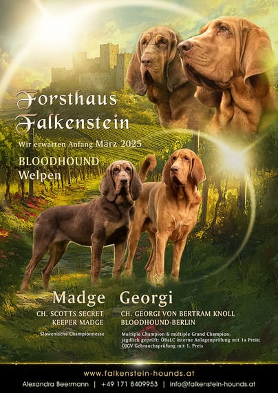 ©Mag. Christina Pleinert – Auf leisen Pfoten