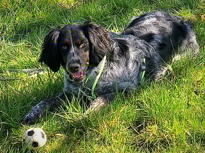 Foto: Beatrice Matthys