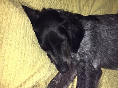 Reif für die Insel - Inselspaziergang