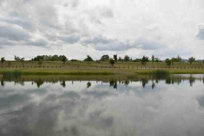 あさひかわ北彩都ガーデン　鏡池