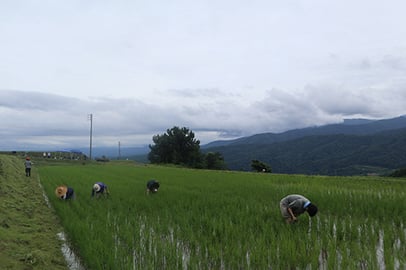 リッカロッカの店内