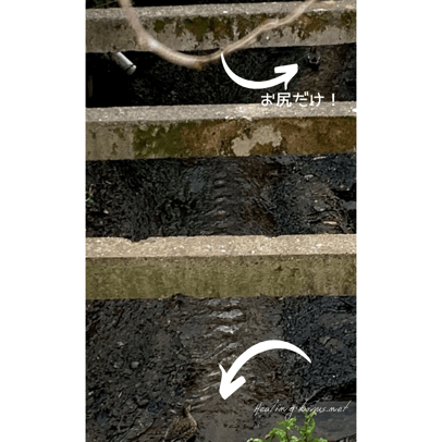 上から見たら見えづらい。敵からも見えない！