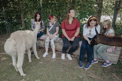 Beim Schnupper-Erlebnis kommen die Menschen den Alpakas & Lamas ganz nah.