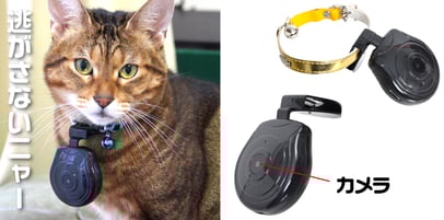 画像はサンコーレアモノショップより転載。