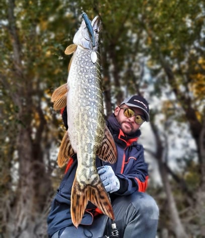 Promotion Bild mit Sakura Slash Blade Hechte fangen