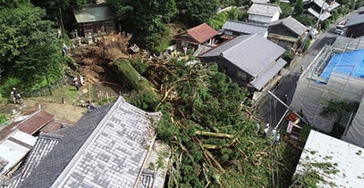 倒壊した大杉と工事中の新森(写真右)