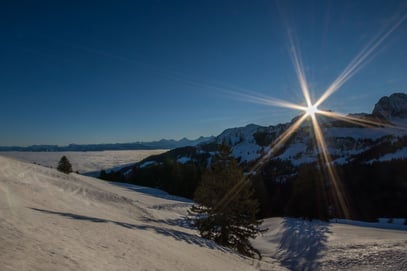 Gurnigel; Sonnenaufgang über dem Nebelmeer 