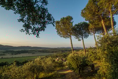 Podere Acquarello; Massa Marittima; Toskana