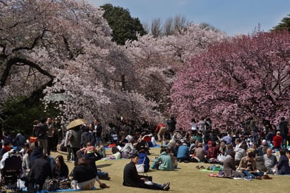 Tokyo - Volksfest im Shinjuku Gyoen  Park