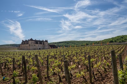 Burgund Bourgogne Clos de Vuegeot