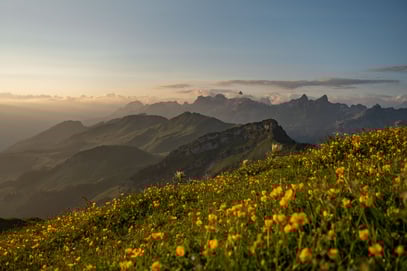 Stoos; Fronalpstock; Sonnenaufgang
