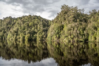 Schwarzwasser, Gordon River, 