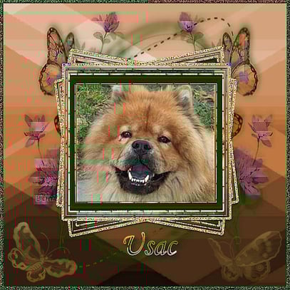 Un joli cadeau de mon amie Béa en souvenir de mon fidèle compagnon parti au ciel le: 17 novembre 2011.