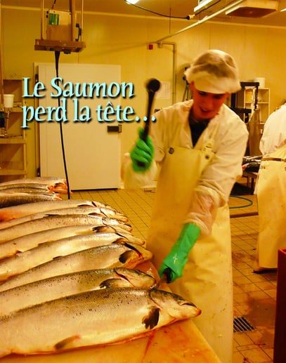 pays d’Orthe, Peyrehorade, Landes, Aquitaine, Barthouil, saumon, fumage, alose, caviar, aulne, pêche, adour, gave
