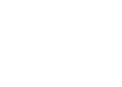 ALEGRA HAIR & MORE