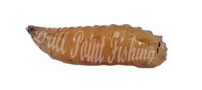 Drill Point Fishing Onlineshop - Angelmaden, Fliegenmaden jetzt günstig online kaufen!