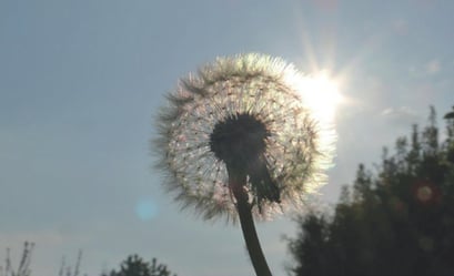 Lernen für den guten Zweck - Seminarreihe von K&T GmbH