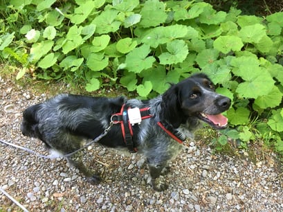 Foto: Esther Hufschmid